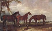unknow artist Some Horses oil painting reproduction